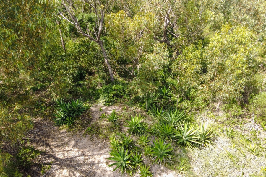 0 Bedroom Property for Sale in Brookes Hill Eastern Cape